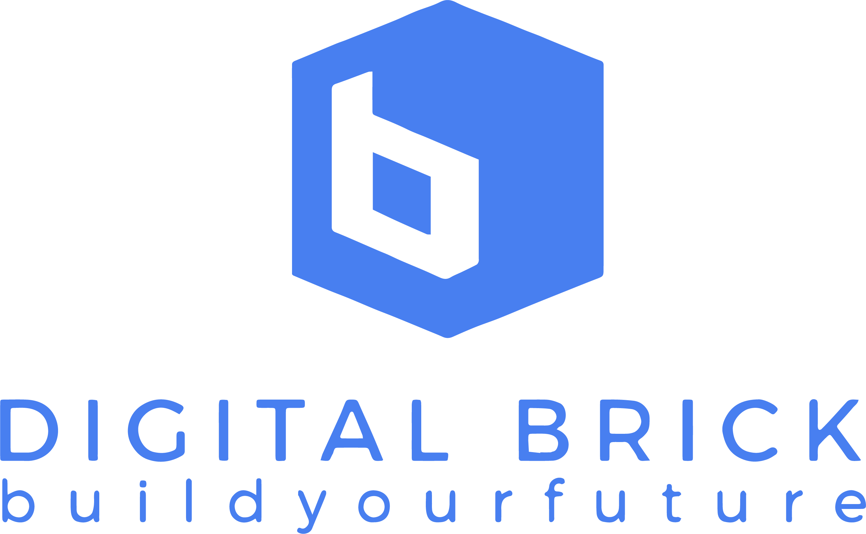 digital brick